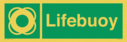 lifebuoy-with-symbol~